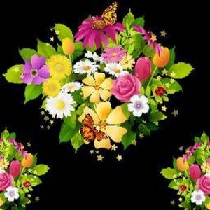 Meet your Posher, Janet